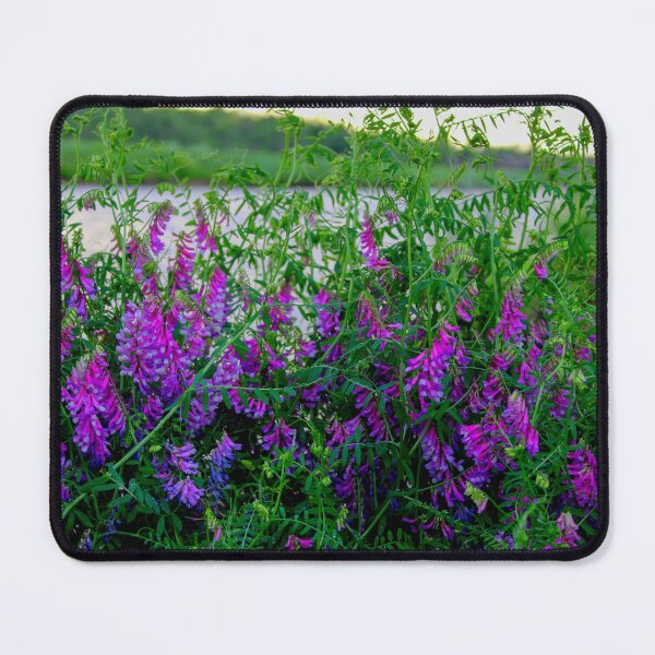 Item preview, vicia villosa designed and sold by AngelBabysArt.