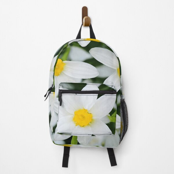 Item preview, Amazon honeysuckle 'Eucharis amazonica - a tender beautiful flower designed and sold by Rostislav Bouda.