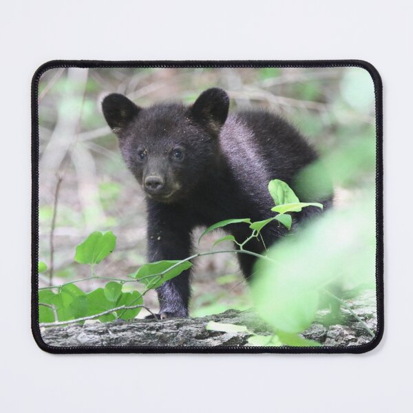 Item preview, Cute Black Bear Cub on a Log designed and sold by Cassie Browning.
