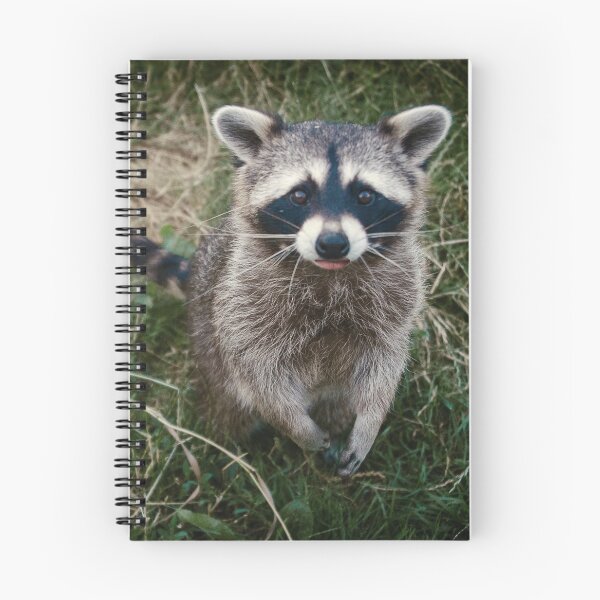 Item preview, Raccoon Lips designed and sold by autoboxdesign.