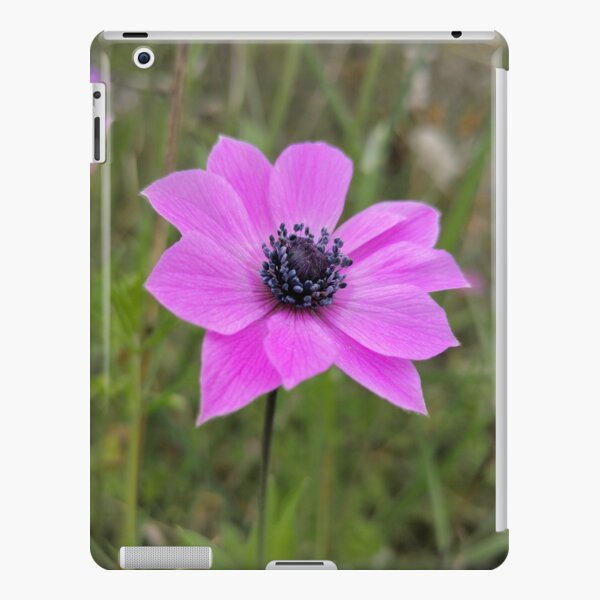 Spring nature iPad Snap Case