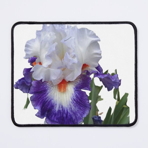 Item preview, White and Purple Iris  designed and sold by CarolBeeDesigns.