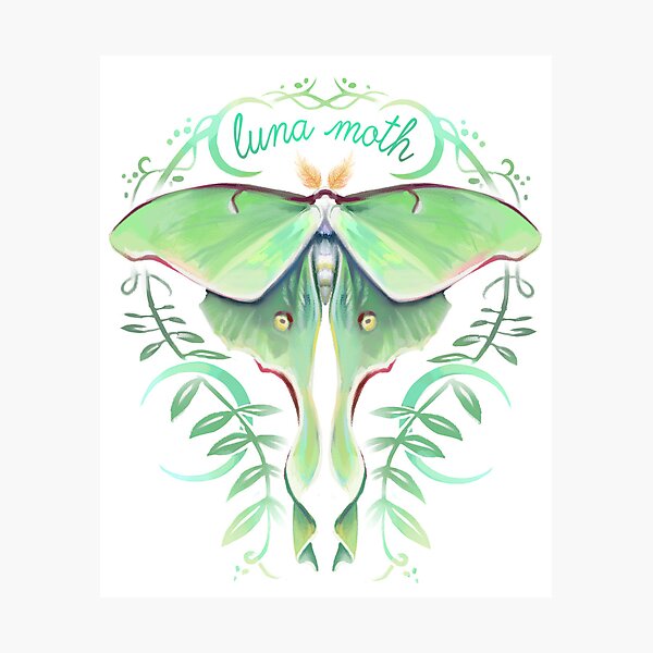 Item preview, luna moth designed and sold by tropi-cat.