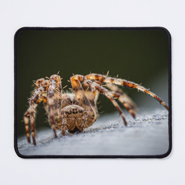 Item preview, Spider designed and sold by Norsewings.