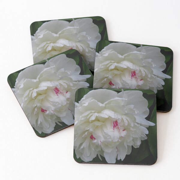 Item preview, White Peony With Rose Accents designed and sold by CarolBeeDesigns.