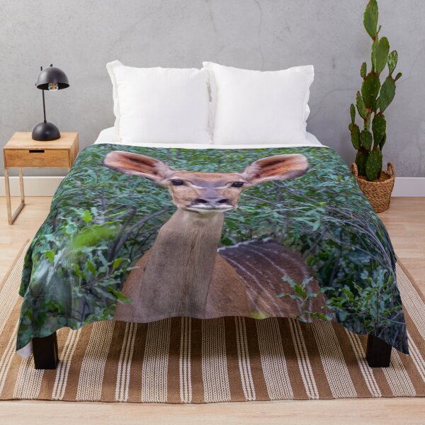 Item preview, Portrait of Female Kudu Antelope designed and sold by SafariByMarisa.
