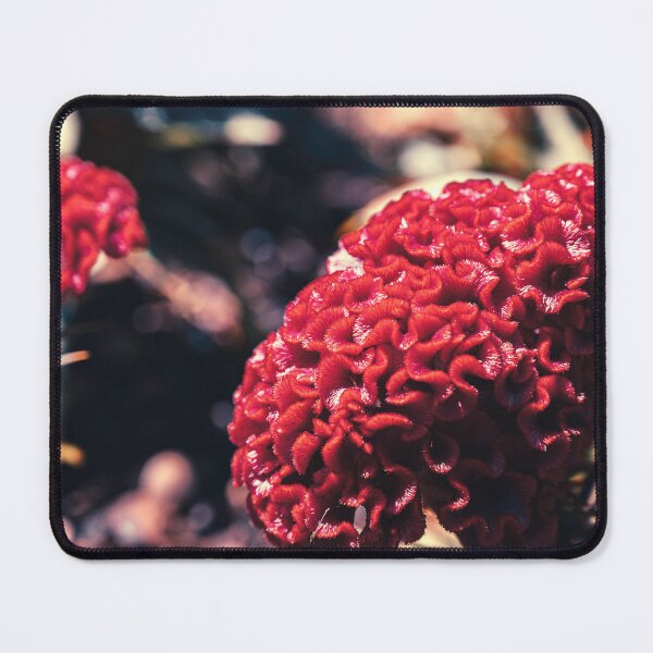 Item preview, Red Cockscomb Flower designed and sold by HoneyHuesPhotos.