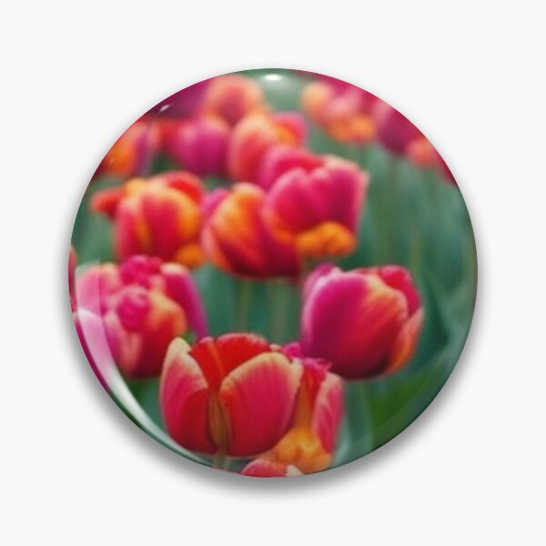 Artikelvorschau, Nahaufnahme von Tulpen entworfen und verkauft von nigejohn.