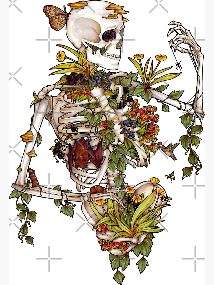 Thumbnail 3 of 3, Magnet, Bones and Botany designed and sold by edemoss.