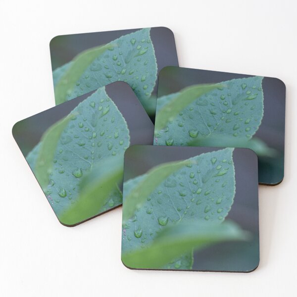 Item preview, Dew on a leaf designed and sold by Shizenkai.