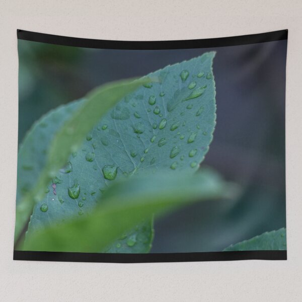Item preview, Dew on a leaf designed and sold by Shizenkai.