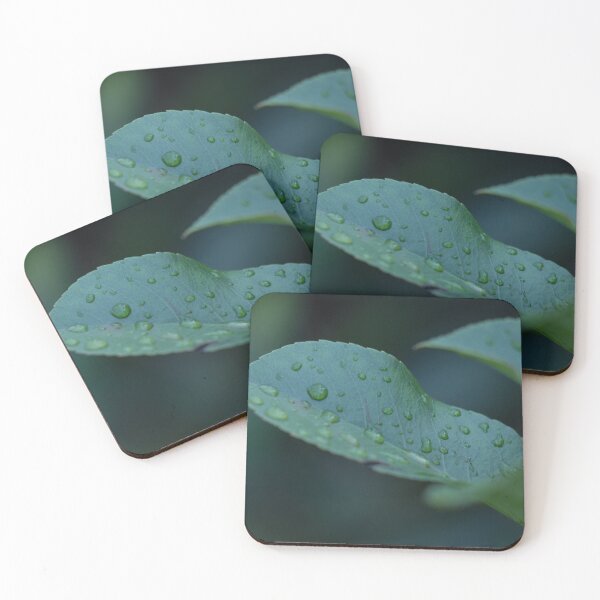 Item preview, Water droplets on a leaf designed and sold by Shizenkai.