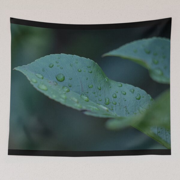 Item preview, Water droplets on a leaf designed and sold by Shizenkai.