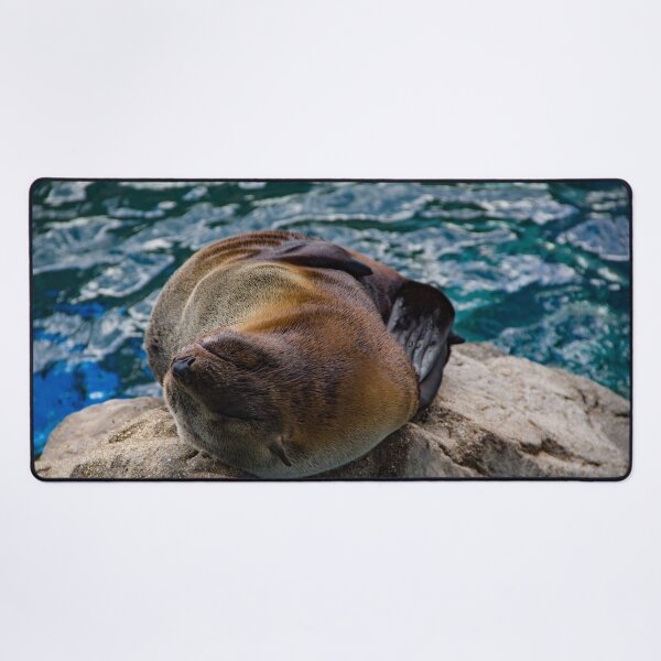 Item preview, Seal relaxing on a boulder designed and sold by Shizenkai.
