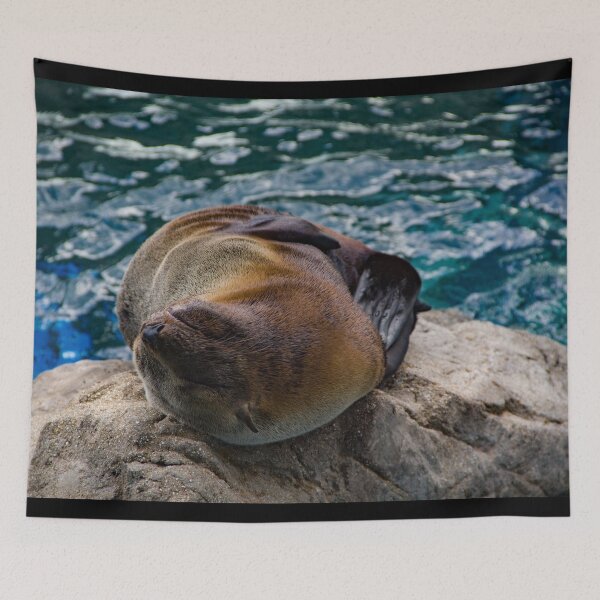 Item preview, Seal relaxing on a boulder designed and sold by Shizenkai.