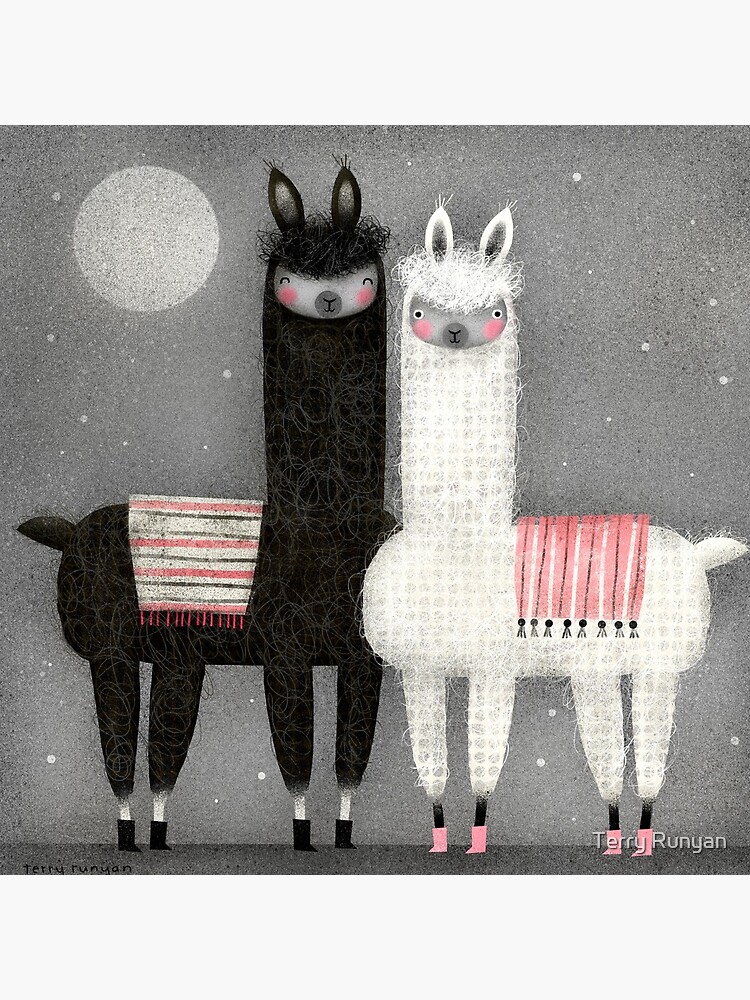 ALPACAS by terryrunyan