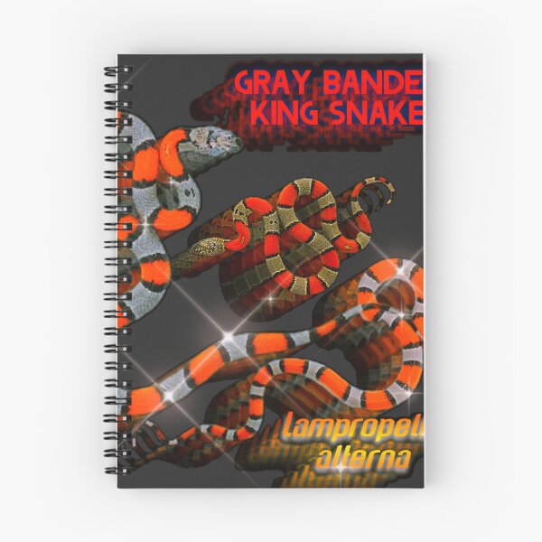 Item preview, Gray banded King. Snake.  designed and sold by StrangeFetish.