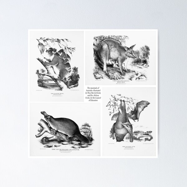 Item preview, The Mammals Of Australia designed and sold by ArtShare.
