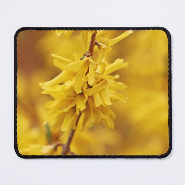 Item preview, Forsythia Gold designed and sold by Deb Oppermann.