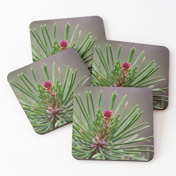 Item preview, Budding pine cone designed and sold by Shizenkai.