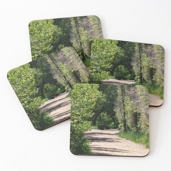 Item preview, Forested path designed and sold by Shizenkai.