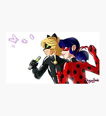 Ladybug and Cat Noir Photographic Print