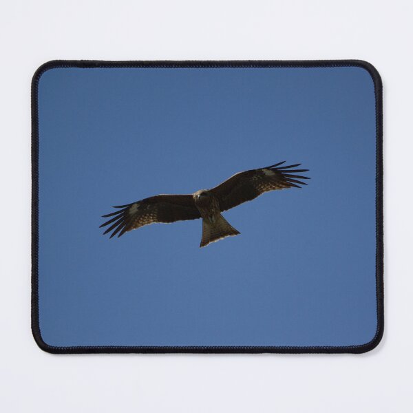 Item preview, Bird of prey in flight designed and sold by Shizenkai.