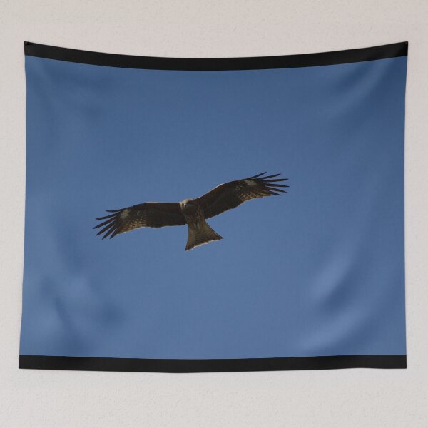 Item preview, Bird of prey in flight designed and sold by Shizenkai.