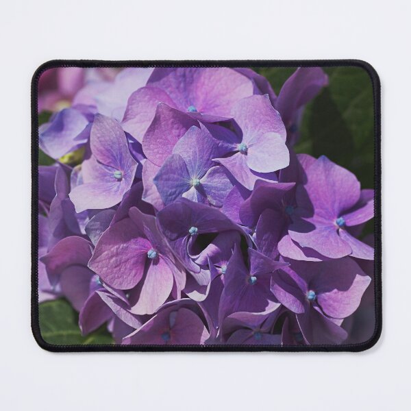 Item preview, Mauves And Pinks In The Hydrangea Flower designed and sold by Joy Watson - Natural Light Photography .