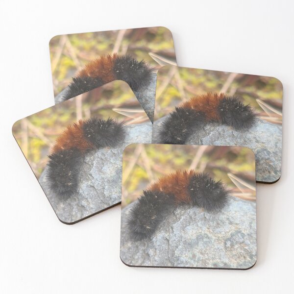Item preview, The Fuzzy Caterpillar - Creatures and Critters  designed and sold by MistyMorningsOR.