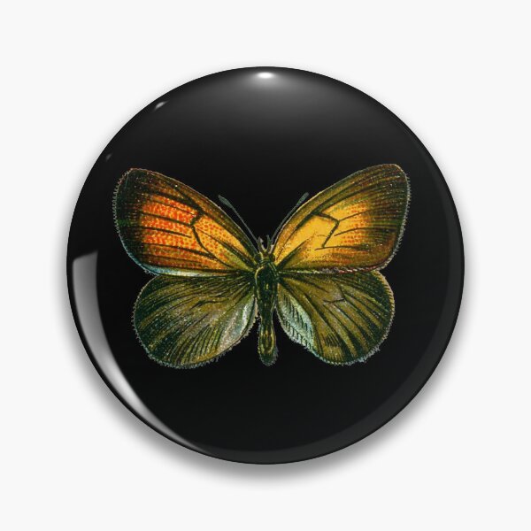Item preview, Orange and Green Vintage Butterfly Pearly Heath Butterflies Coenonympha Arcana designed and sold by kattakitty.