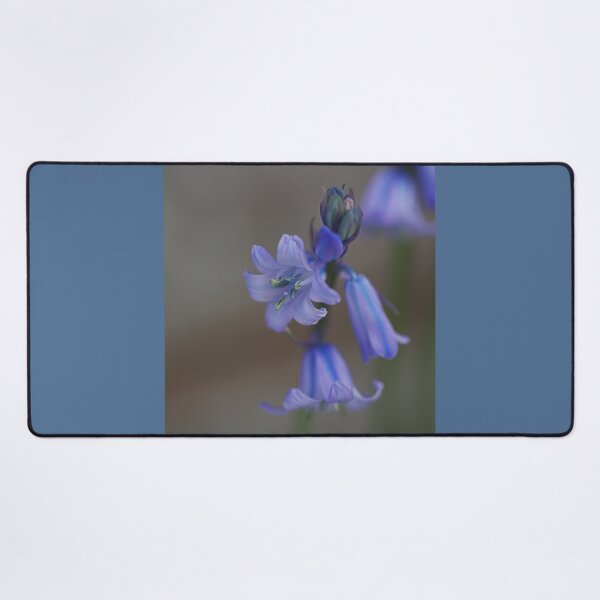 Item preview, Bluebell Flower Over Natural Soft Grey  designed and sold by Joy Watson - Natural Light Photography .
