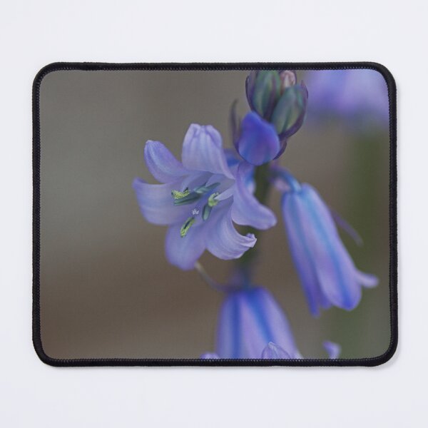 Item preview, Bluebell Flower Over Natural Soft Grey designed and sold by Joy Watson - Natural Light Photography .