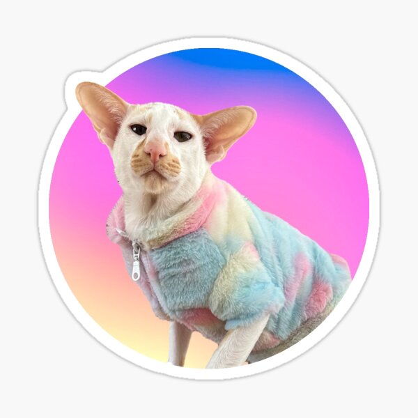 Item preview, Pastel Lover Winstony designed and sold by hannahzgreat.