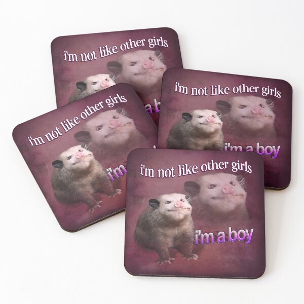 Item preview, I'm not like other girls, I'm a boy possum word art designed and sold by snazzyseagull.