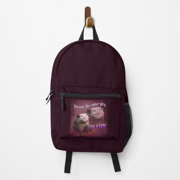 Item preview, I'm not like other girls, I'm a boy possum word art designed and sold by snazzyseagull.