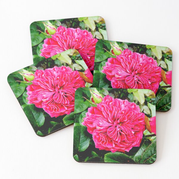 Item preview, Dark Pink Rose designed and sold by csturman.