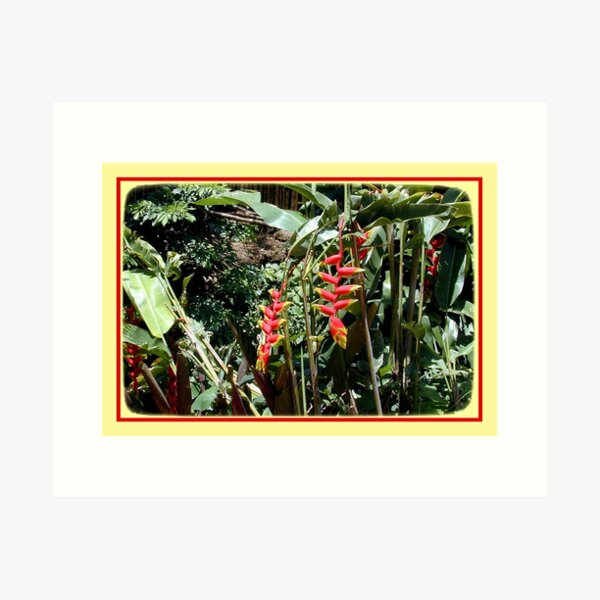 Red Flower Art Print