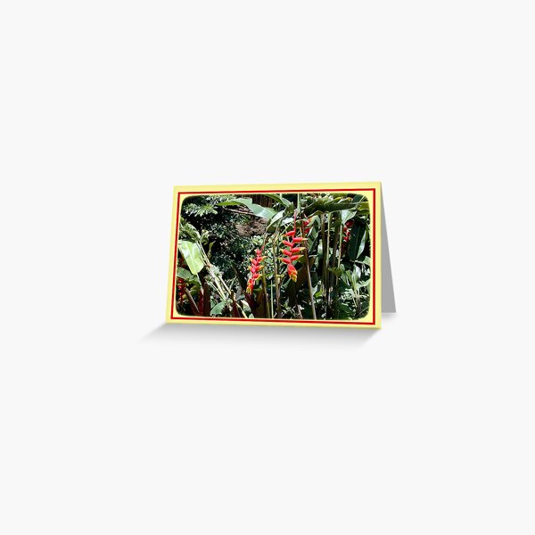 Red Flower Greeting Card