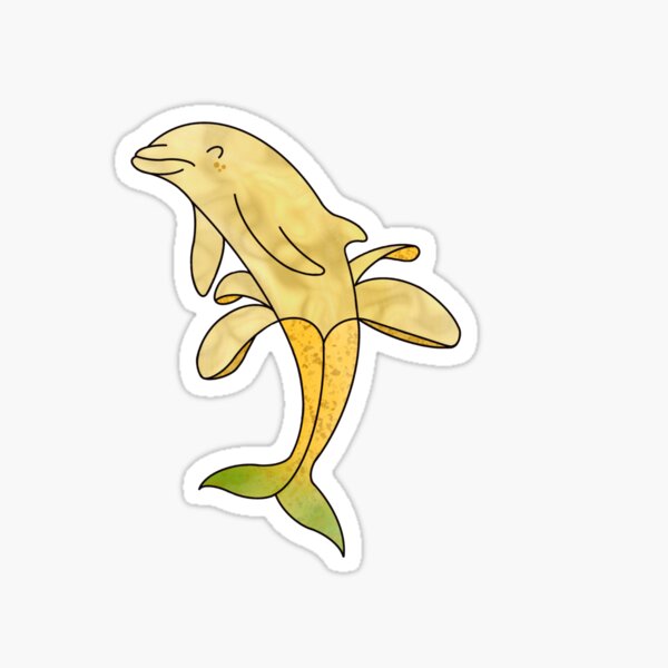 Banana Dolphin Sticker | Cute Funny Cartoon Silly stickers | 3 Water  Bottle | Laptop | College | Teen | Kids