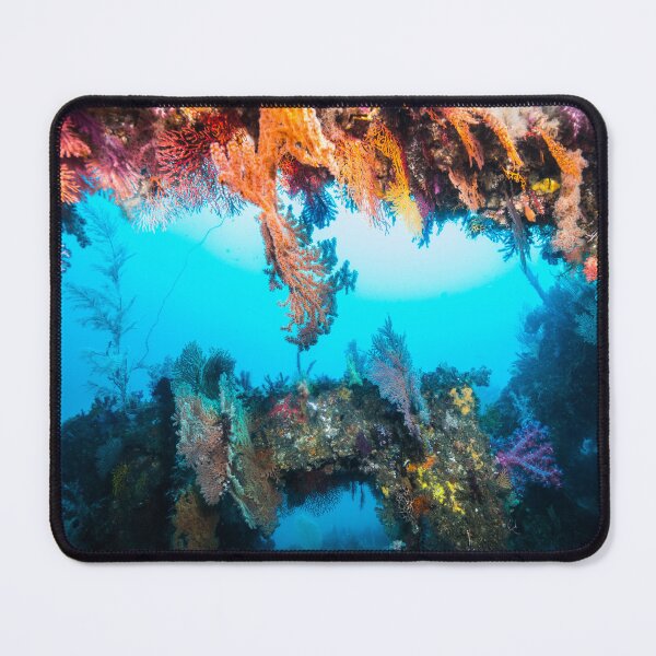 Item preview, soft coral tunnels designed and sold by tank200bar.