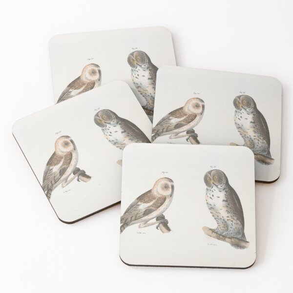 Item preview, Vintage American Barn Owl & Great Grey Owl Illustration (1844) designed and sold by BravuraMedia.