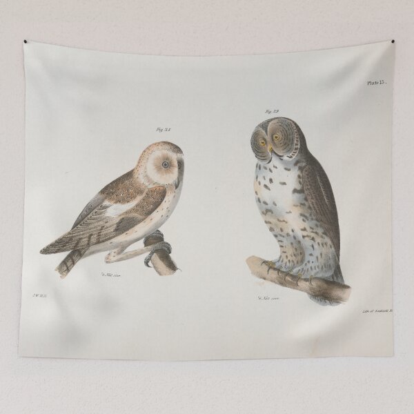 Item preview, Vintage American Barn Owl & Great Grey Owl Illustration (1844) designed and sold by BravuraMedia.