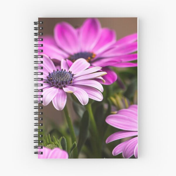 Item preview, Osteospermum designed and sold by MartRPorter.