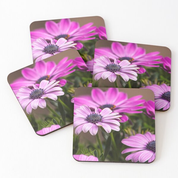 Item preview, Osteospermum designed and sold by MartRPorter.