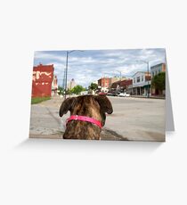 Where She's Not Welcome Greeting Card