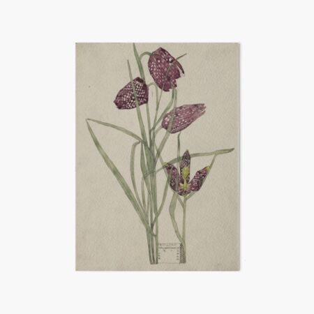 Item preview, Charles Rennie Mackintosh Fritillaria designed and sold by NouveauEra.