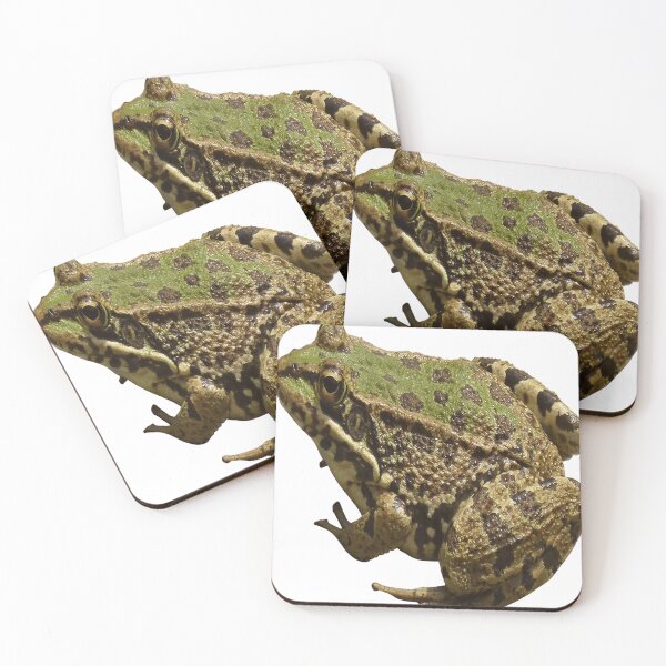 Item preview, cambodia river frog green back designed and sold by AlekGrant12.