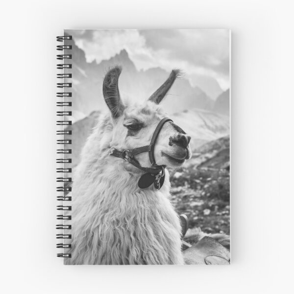 Aperçu de l'œuvre  Adorable lama - alpaga créée et vendue par HouseStyleStore.