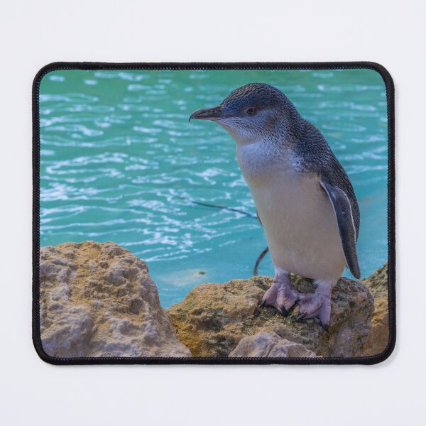 Item preview, Its a little Penguin designed and sold by alokojha.